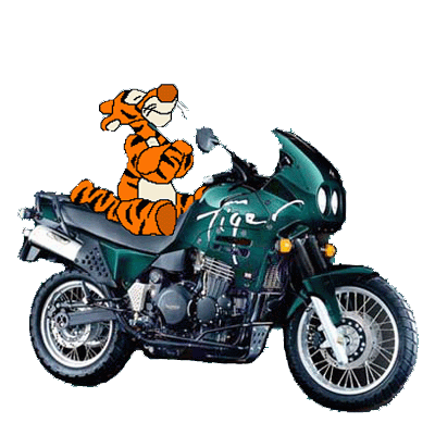 ...tiggerbiker...